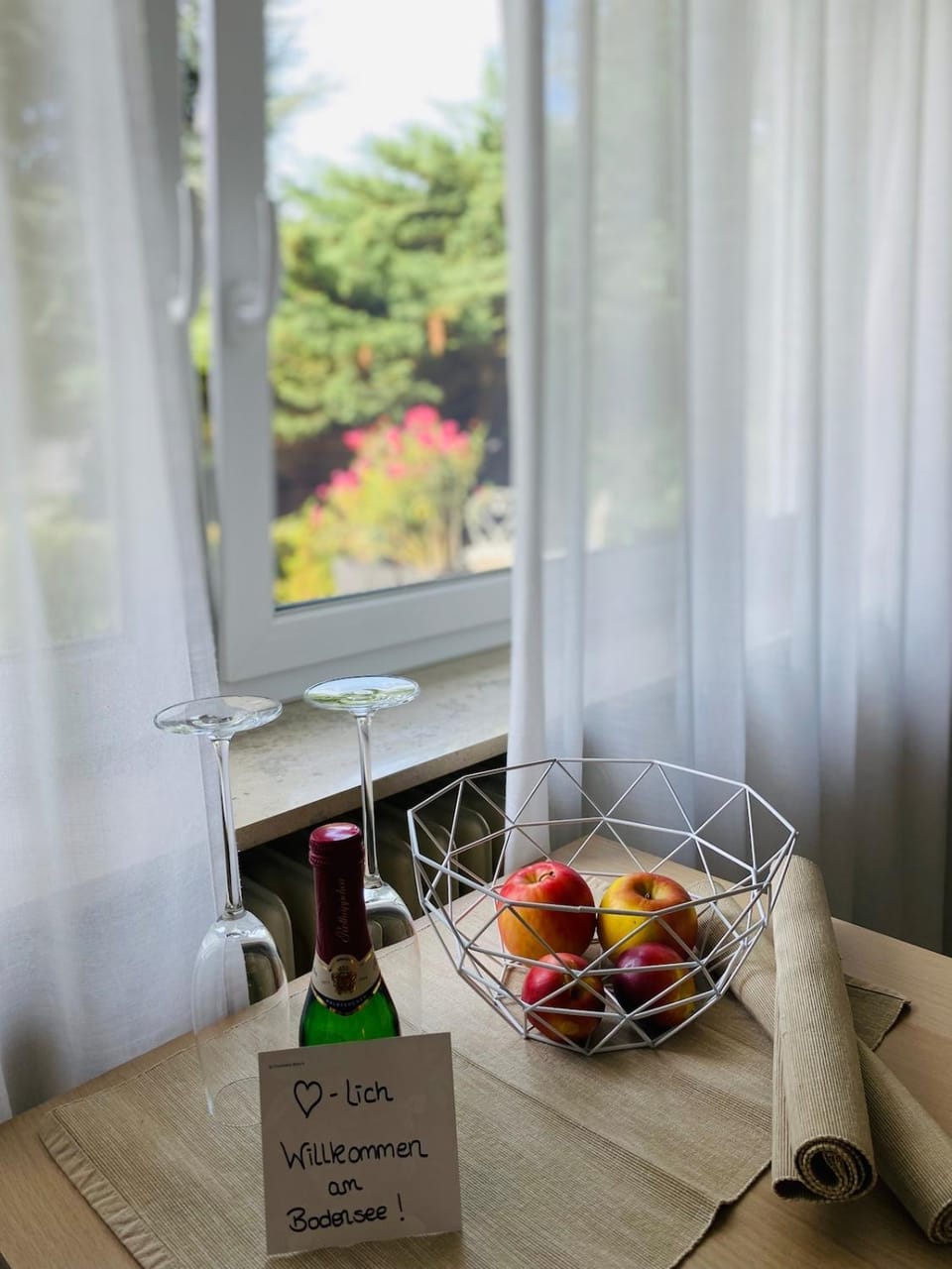 Gemütliche Ferienwohnung im Grünen Apartment in Friedrichshafen