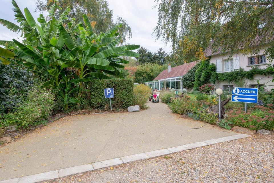 Property building, Day, Garden view