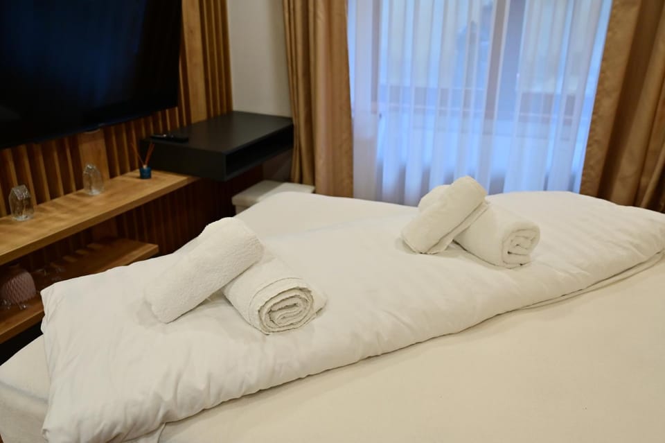 FLH - Vic Studio Apartment in Sibiu