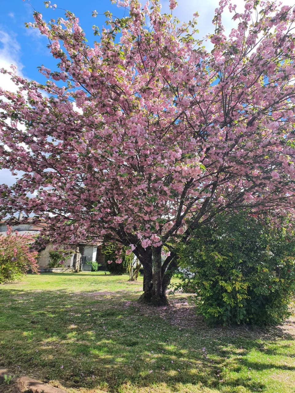 Garden, Garden view
