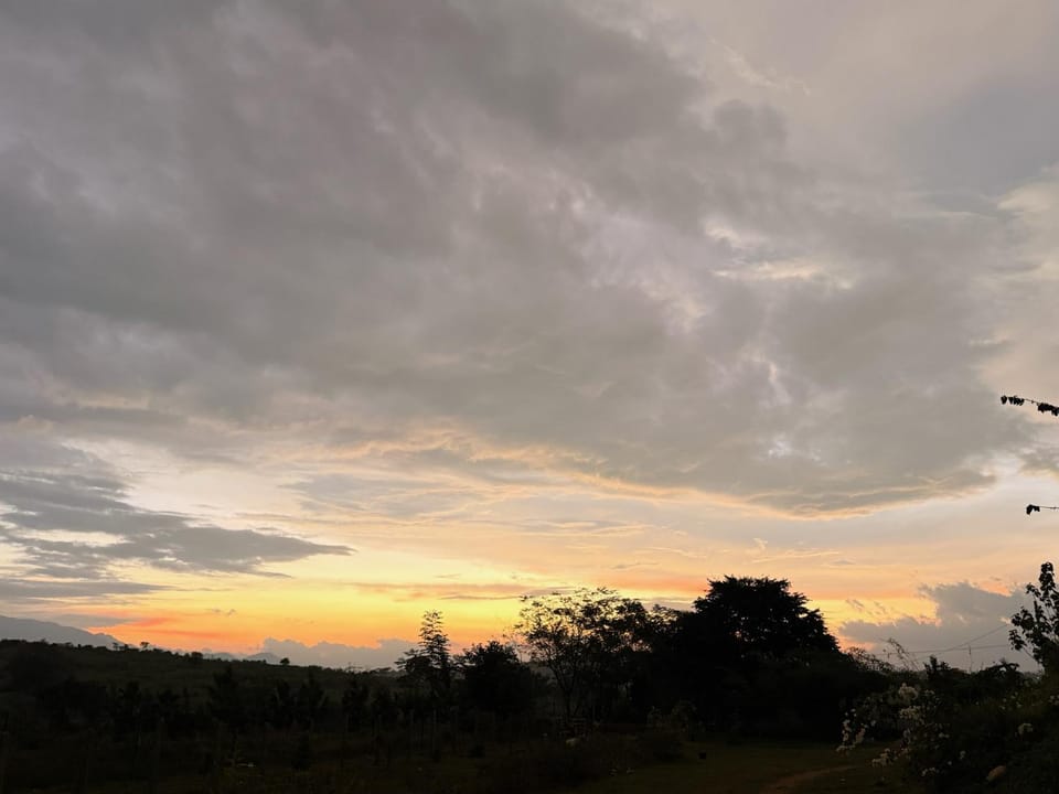 Tusker & Gaur - Bandipur Villa in Karnataka