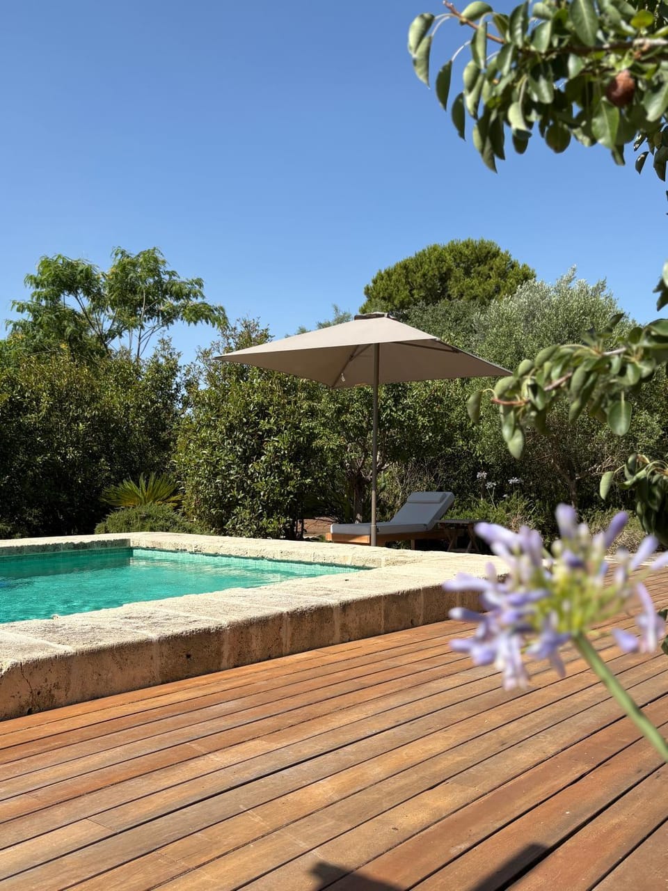 Pool view, Swimming pool, sunbed