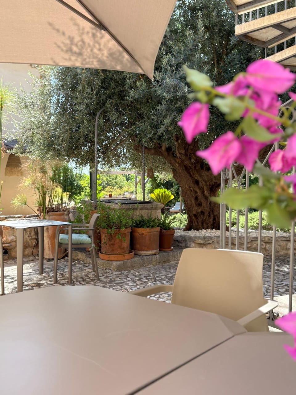 Patio, Garden