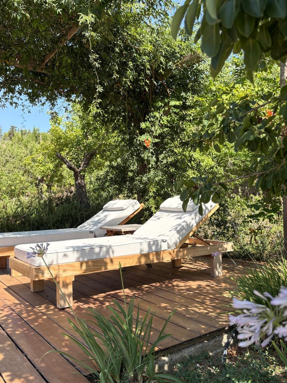 Garden, sunbed