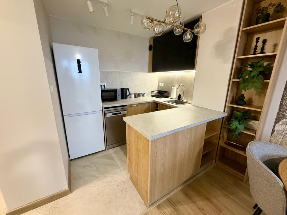 Kitchen or kitchenette, dishwasher, stove