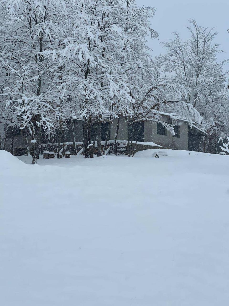 Day, Winter