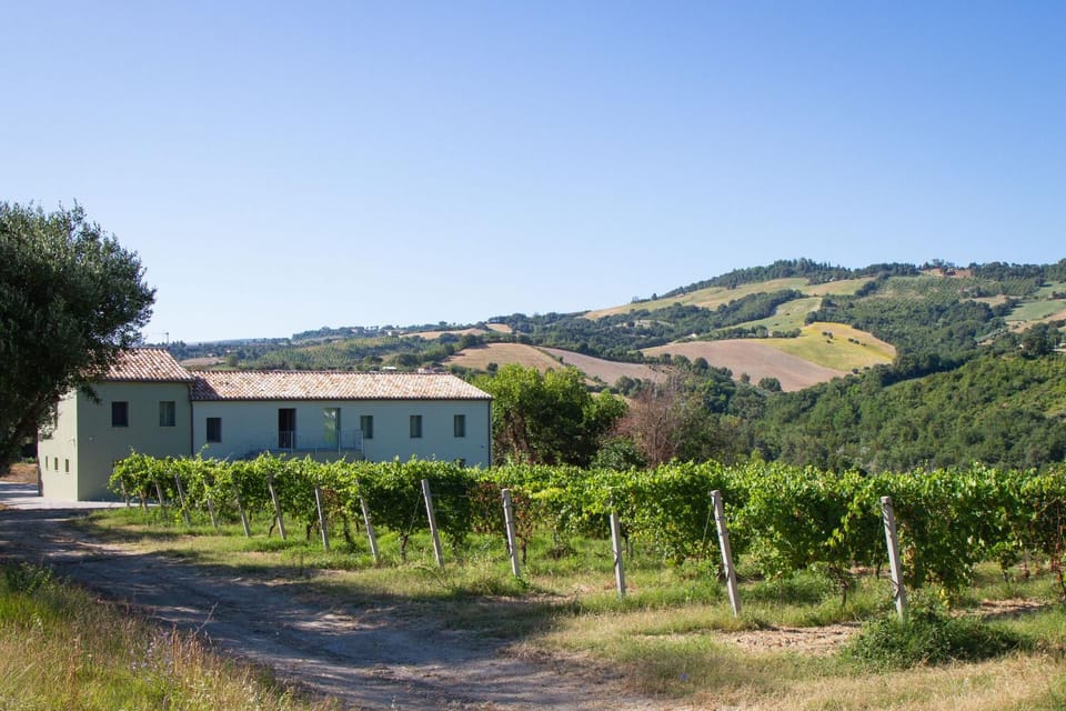 Property building, Spring, Day, Natural landscape, Mountain view
