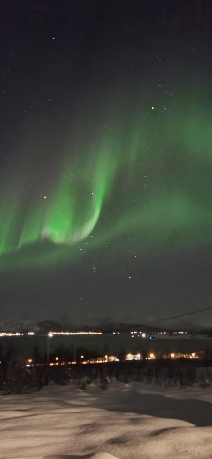 Hiet- Arctic cabin in the norwegian forrest! Cabin in Troms Og Finnmark
