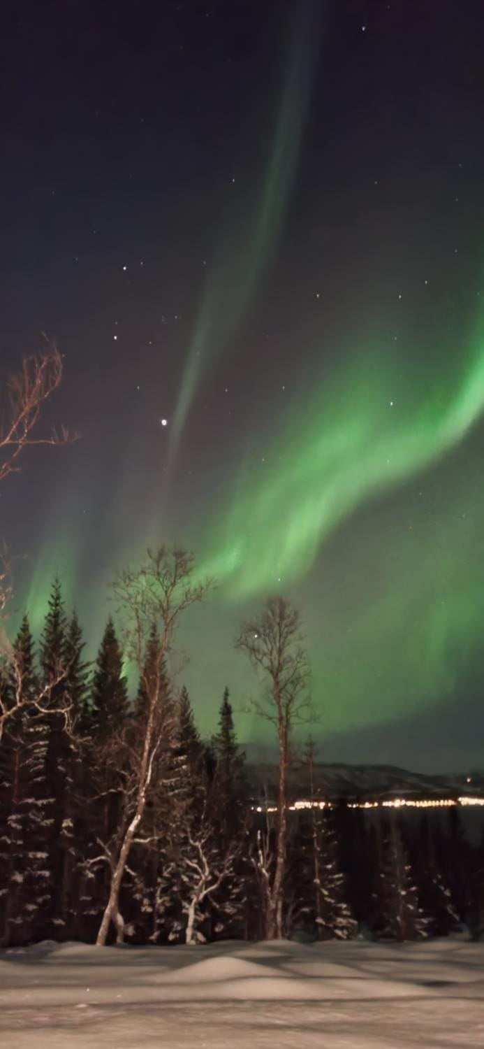 Hiet- Arctic cabin in the norwegian forrest! Cabin in Troms Og Finnmark