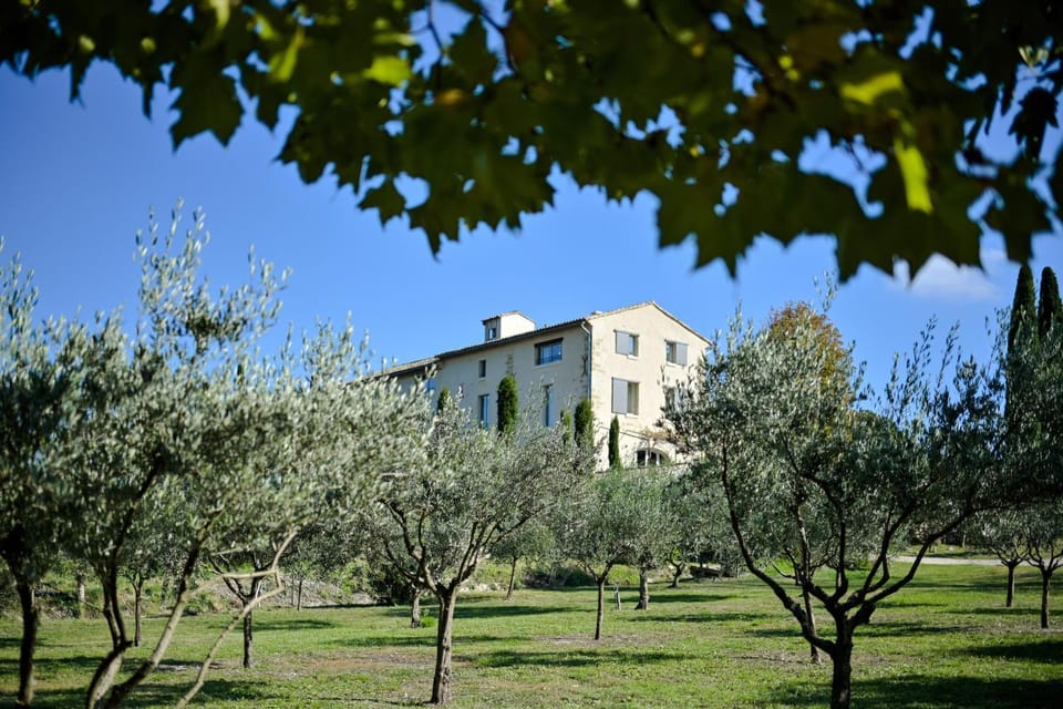 Property building, Natural landscape, Garden, Garden view