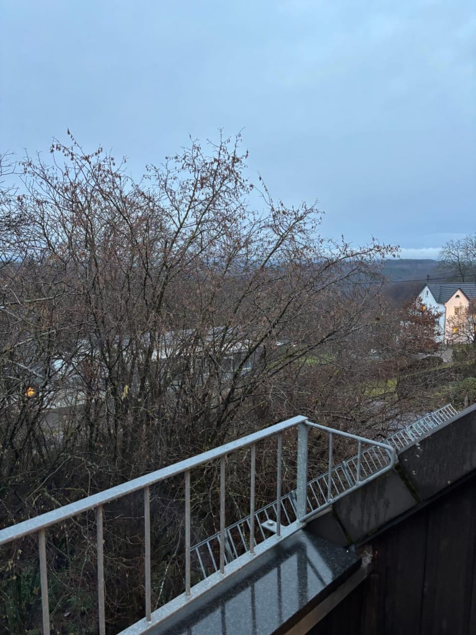 Willi Apartment in Rhineland-Palatinate