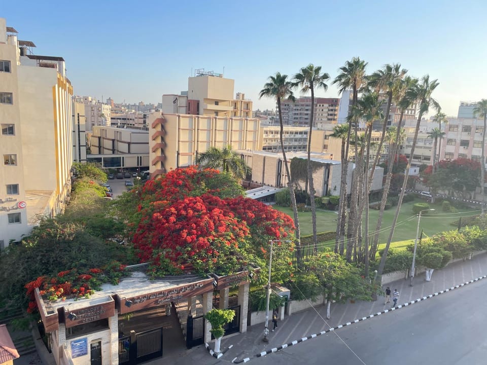 The university view apartment 2 Apartment in Egypt