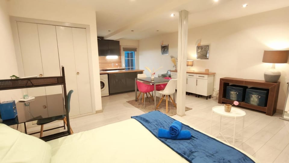 Cosy Camélia - T1 - Hypercentre avec Patio Apartment in Pau
