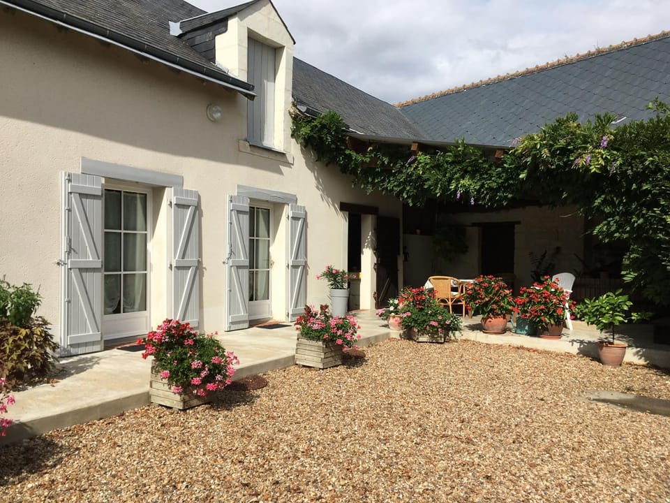 Property building, Garden, Garden view