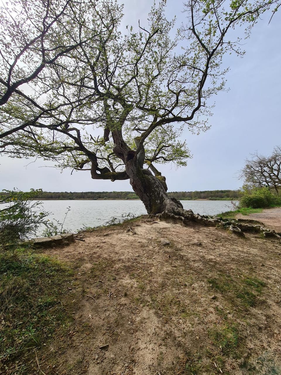 Spring, River view