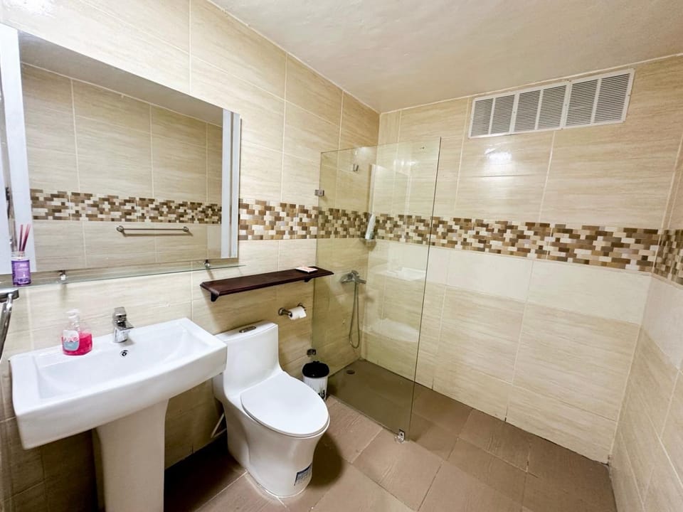 Colonial Home with Private Terrace and Jacuzzi House in Santo Domingo
