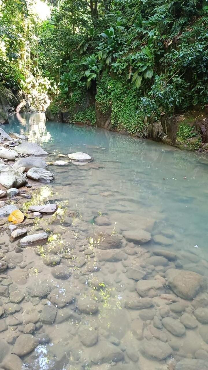 Natural landscape, River view