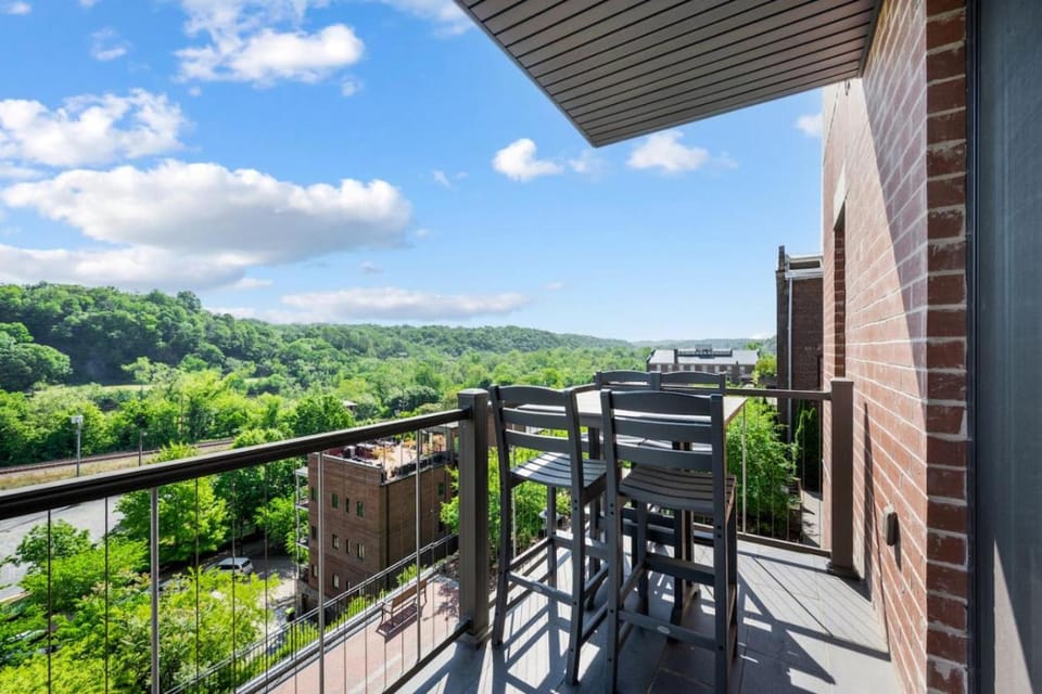 Luxury Downtown Loft - Balcony and Rooftop Bar! Apartment in Madison Heights