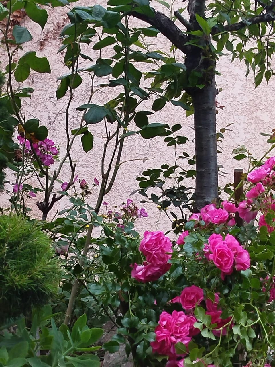 Spring, Day, Garden, Garden view
