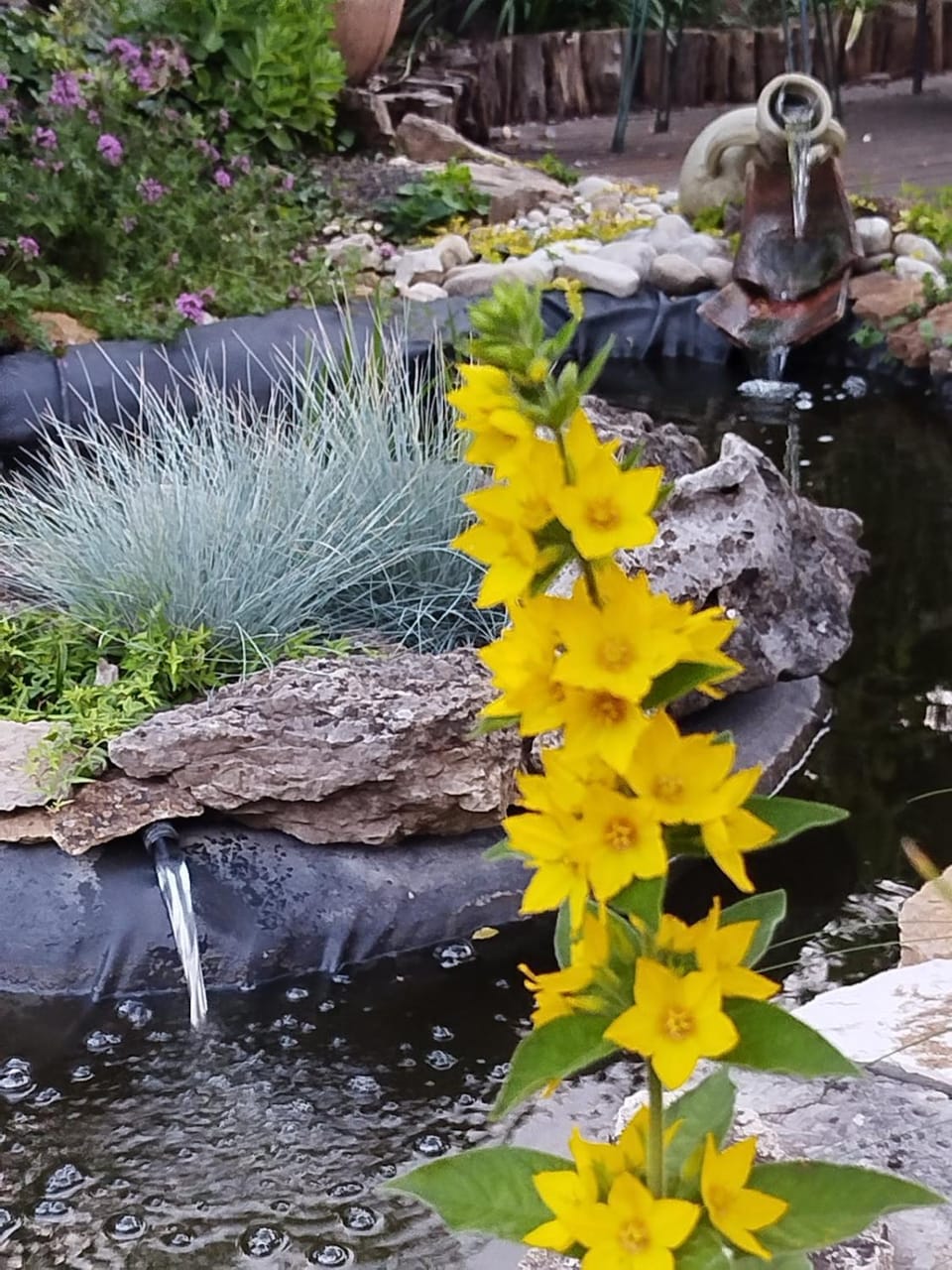 Spring, Garden, Garden view
