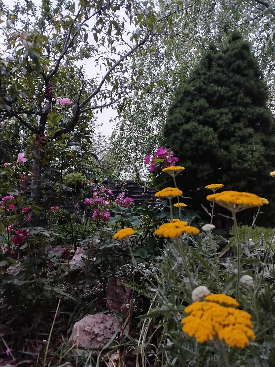 Spring, Day, Natural landscape, Garden