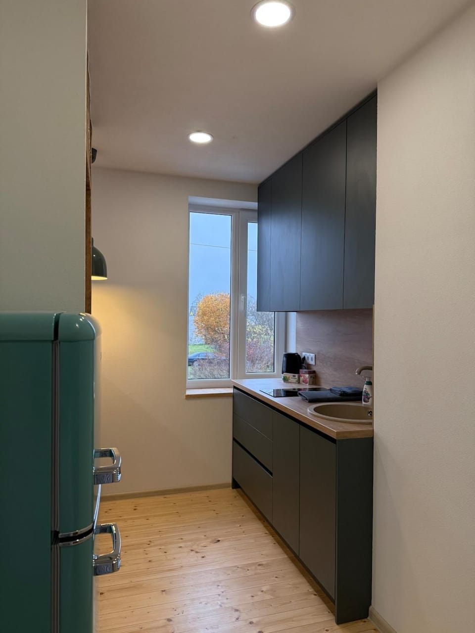 Green apartment Apartment in Latvia