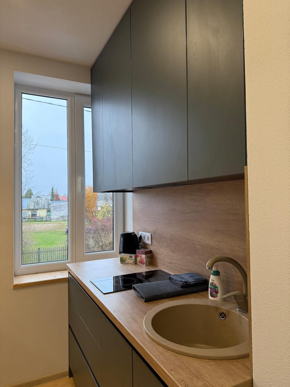 Green apartment Apartment in Latvia
