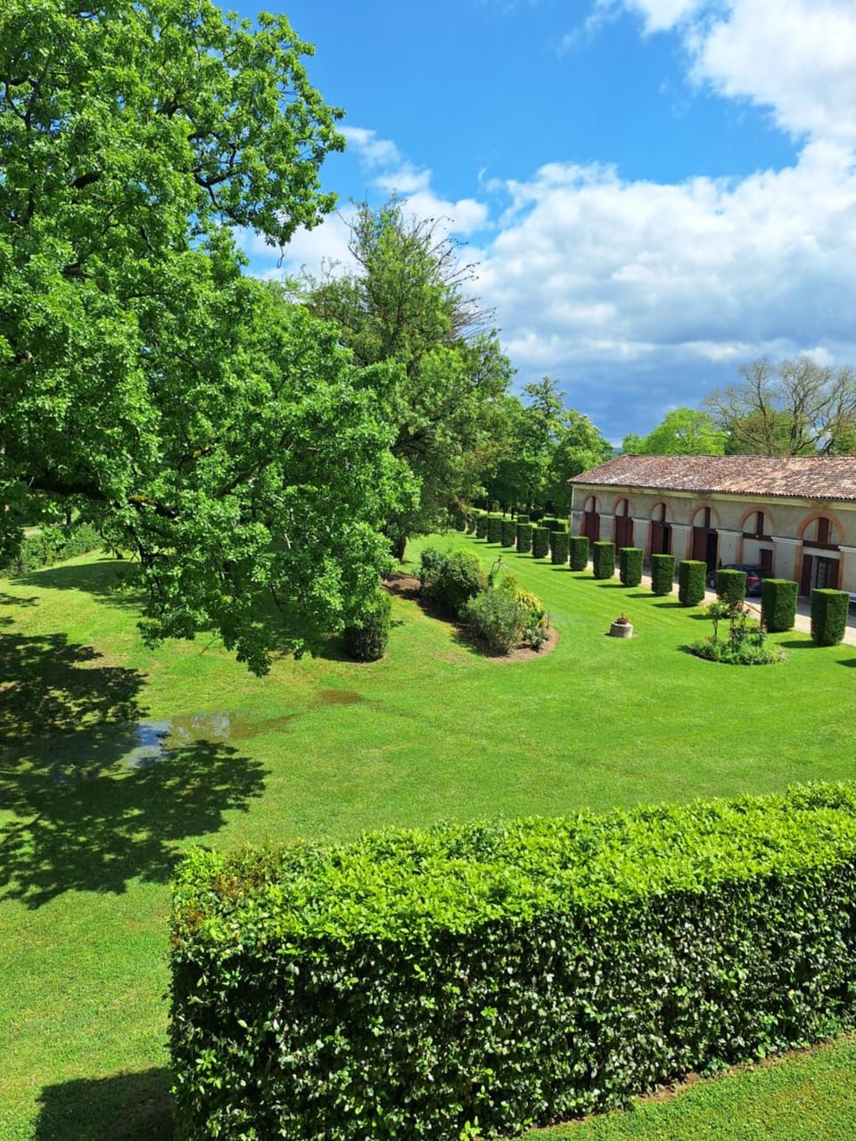 Garden view