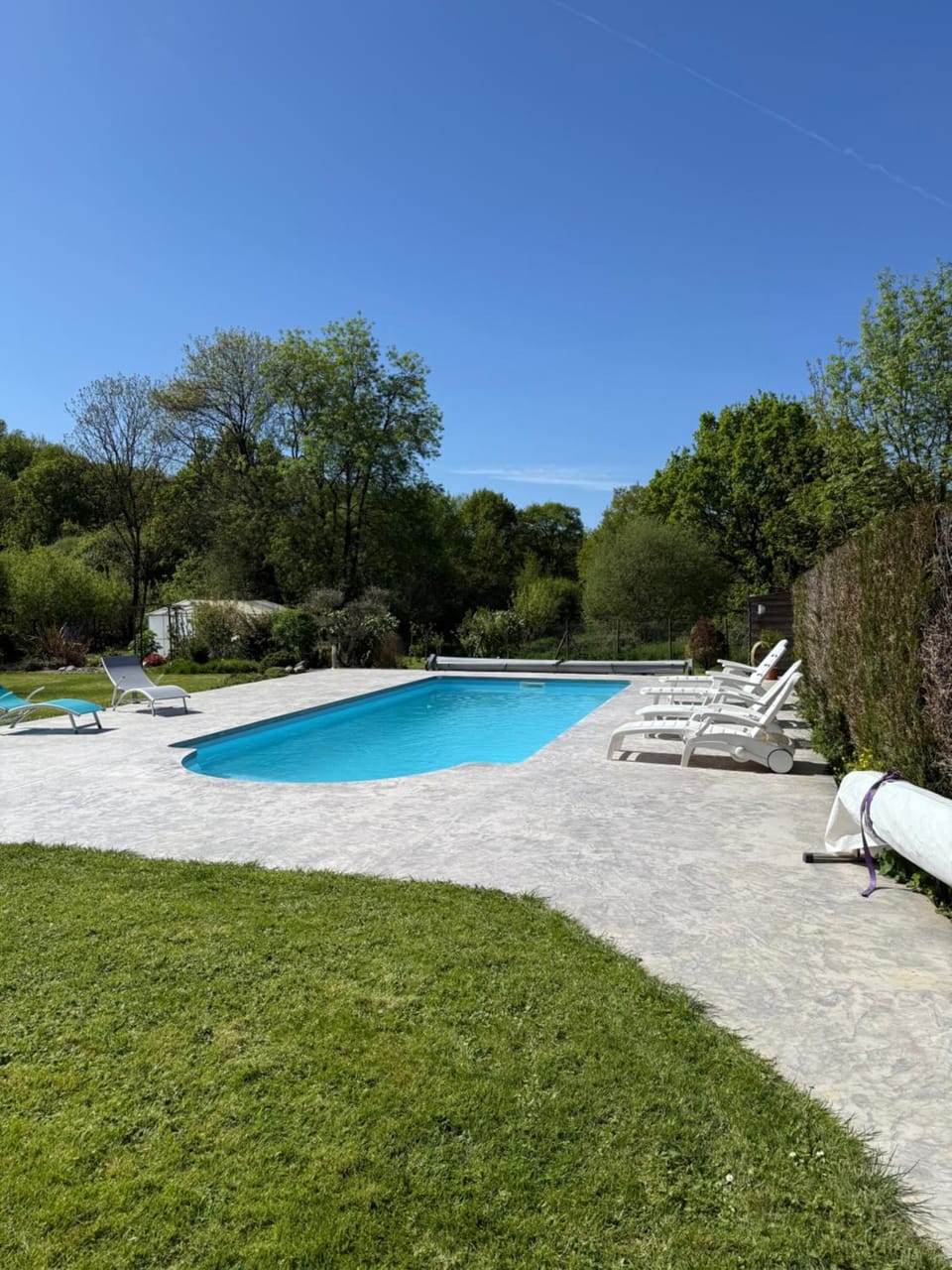 Garden, Garden view, Pool view, Swimming pool, sunbed