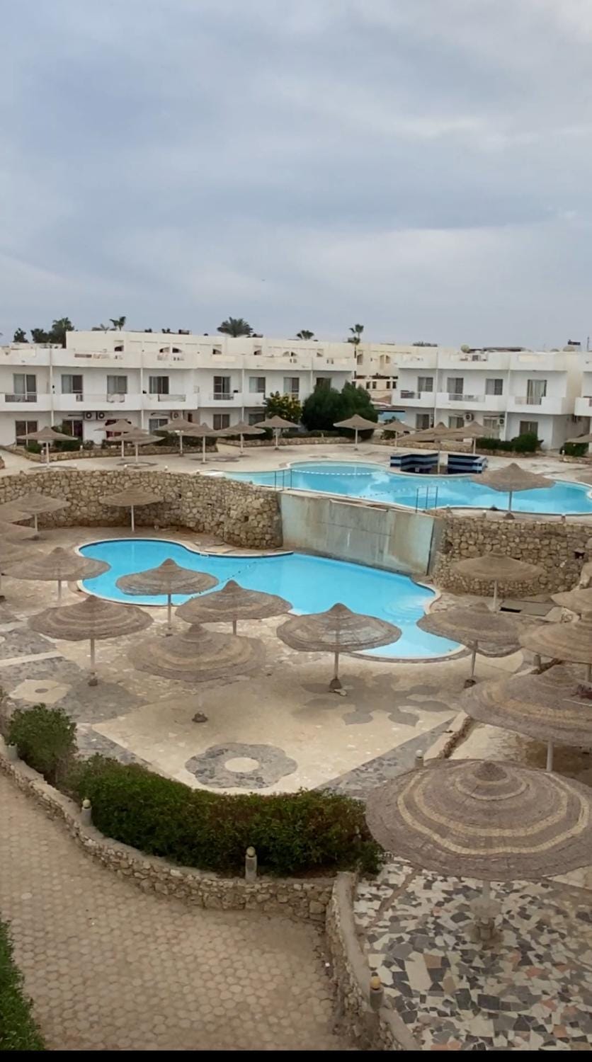 Day, Pool view, Swimming pool