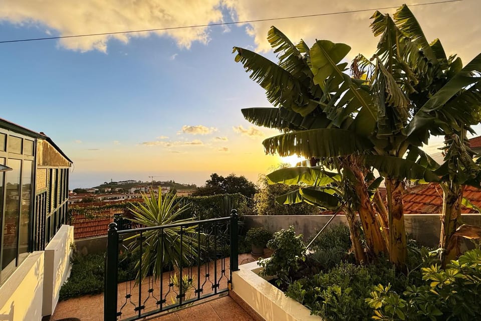 Garden, Balcony/Terrace, Garden view, Sunset