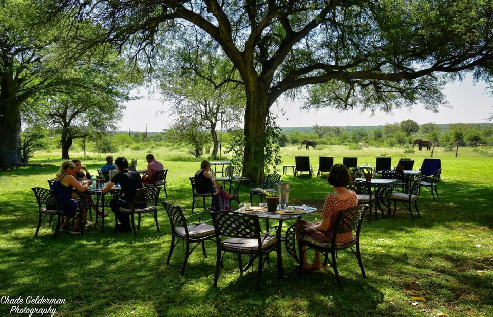 Seating area, Garden view, group of guests