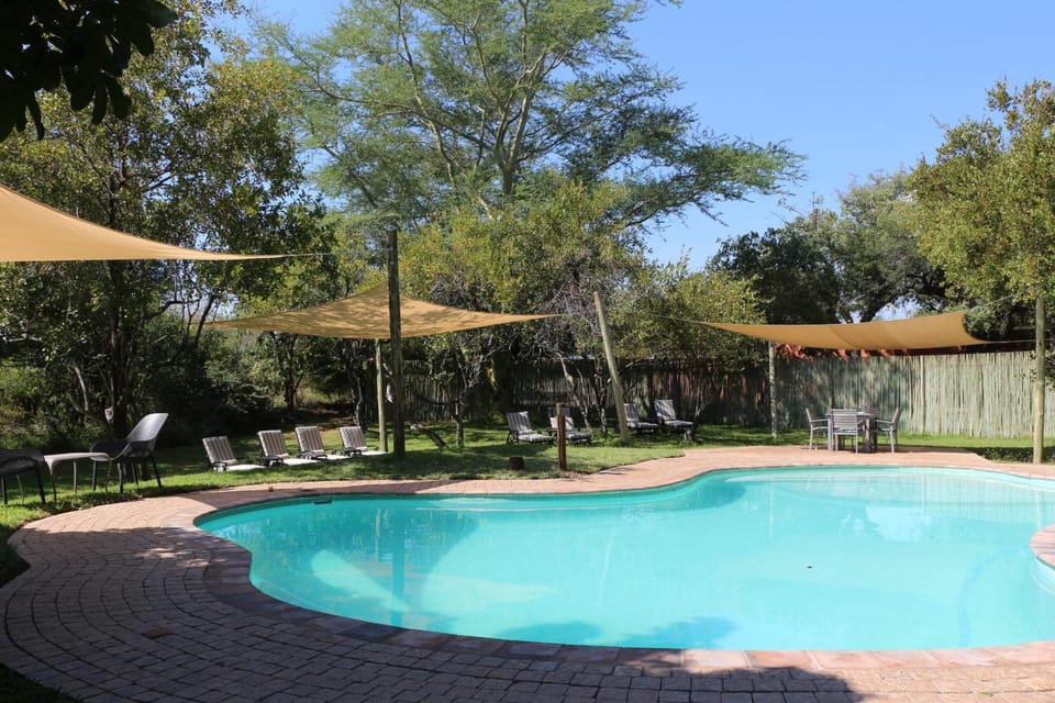 Patio, Garden, Pool view, Swimming pool, sunbed