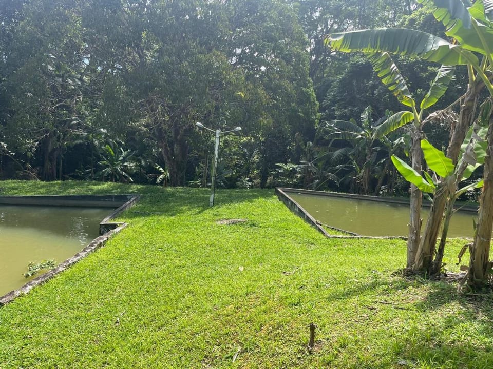 Natural landscape