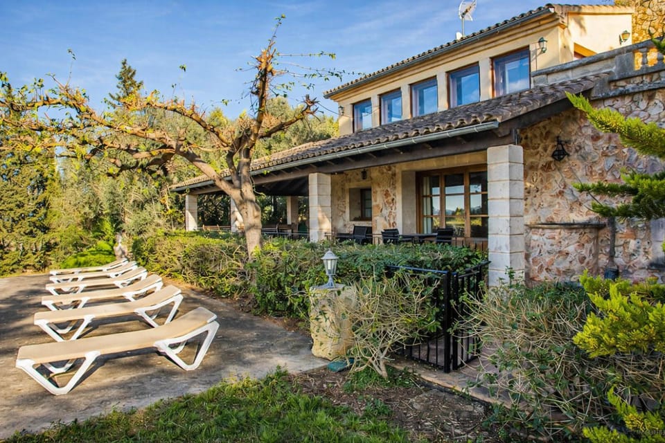 Patio, Garden, Garden view