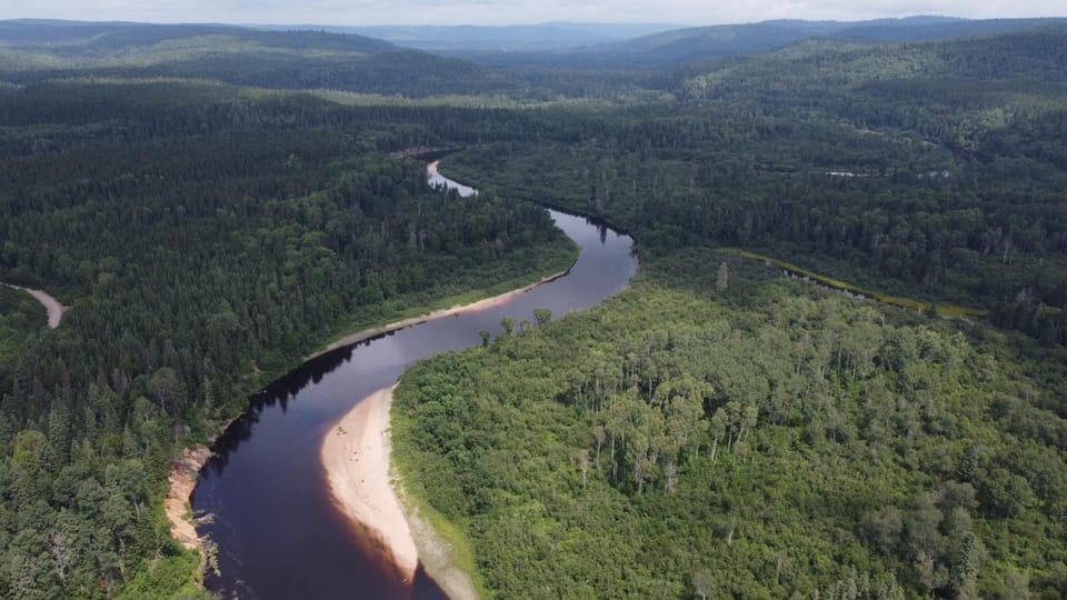 Natural landscape, River view