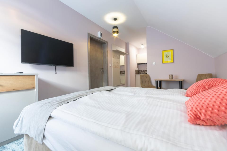 Bed, TV and multimedia, Photo of the whole room
