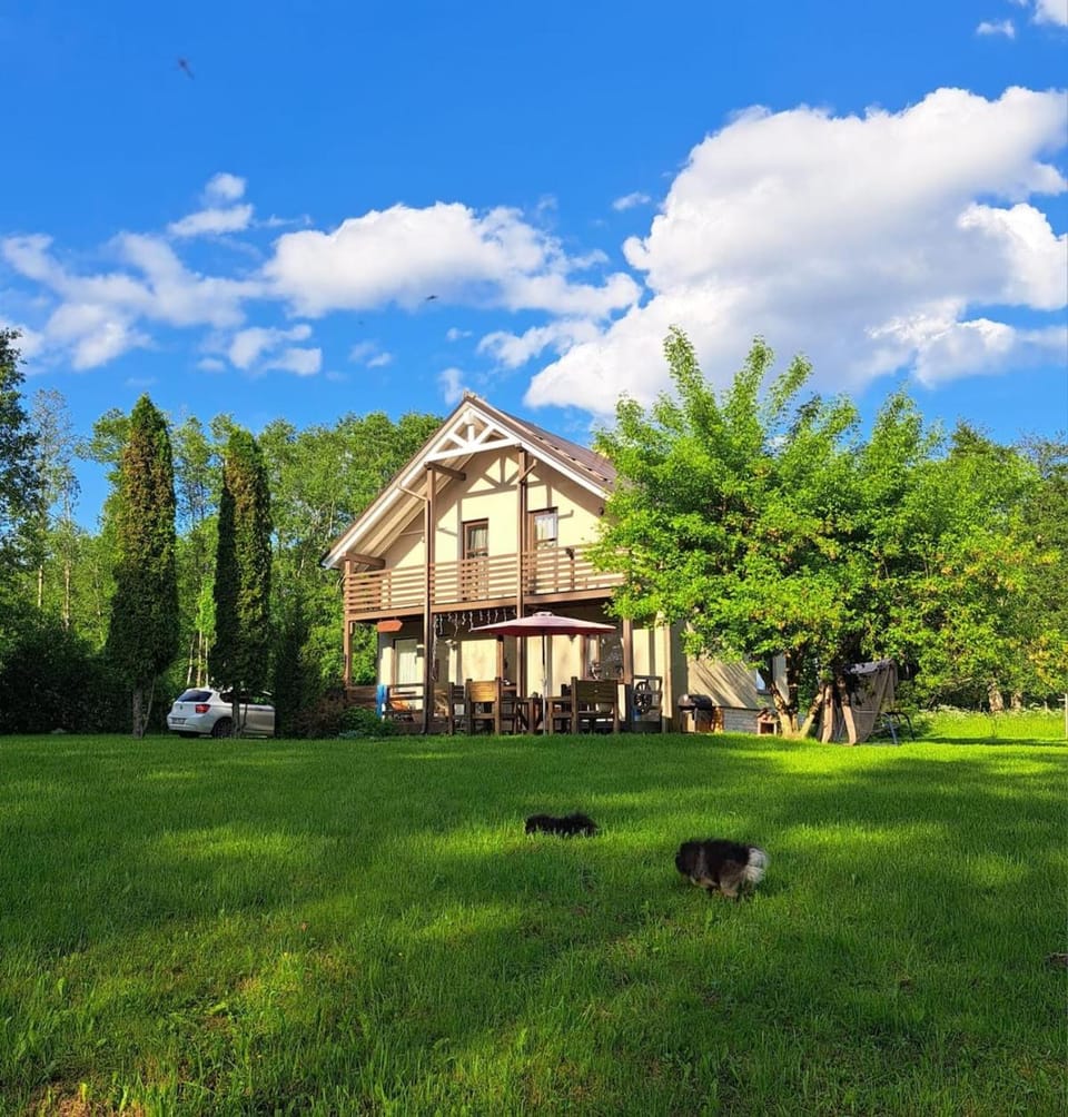 Property building, Garden view