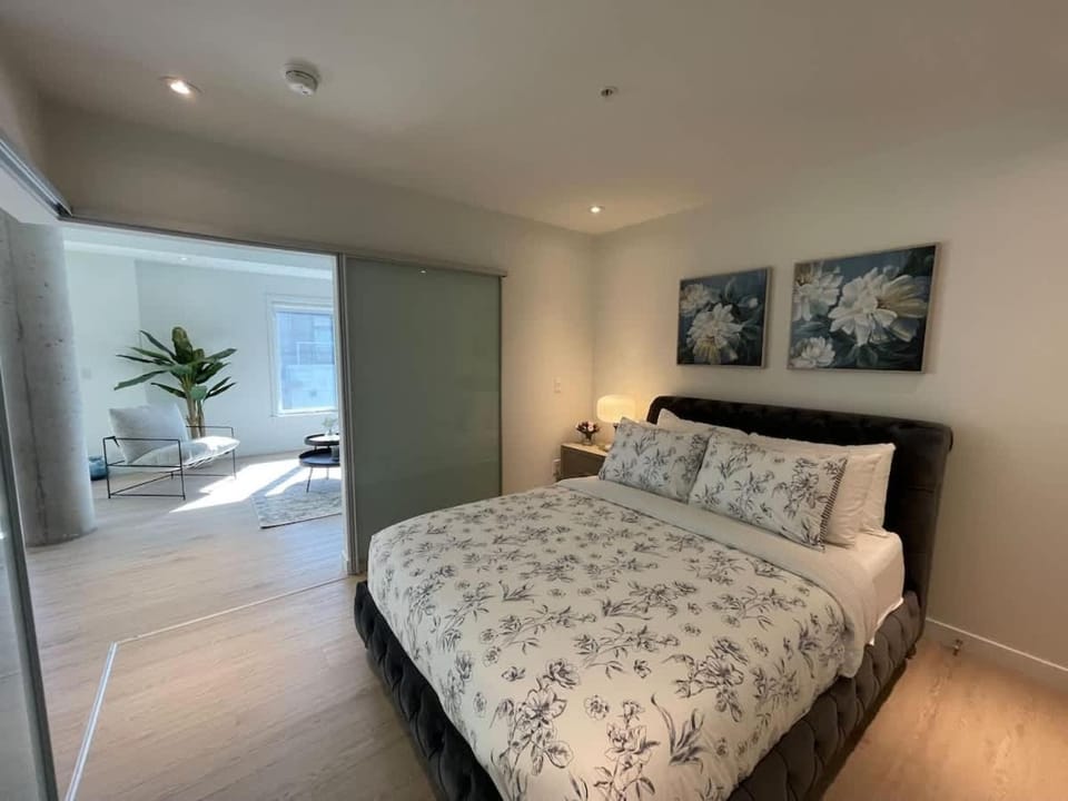 Bright warm & spotless 1 BR in North End Halifax Apartment in Dartmouth