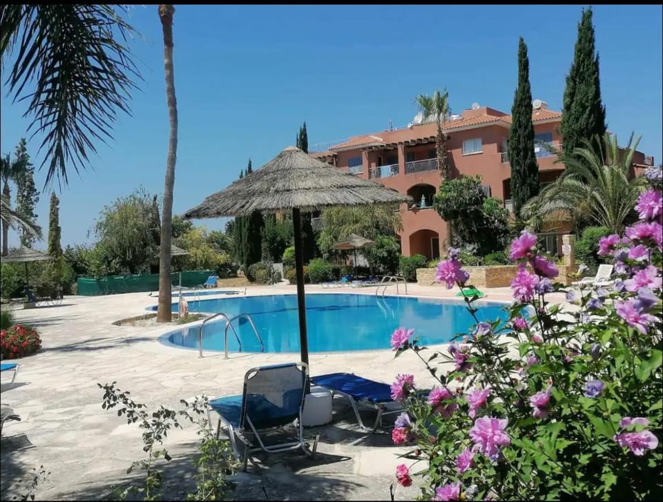 Pool view, Pool view, Swimming pool, sunbed, sunbed
