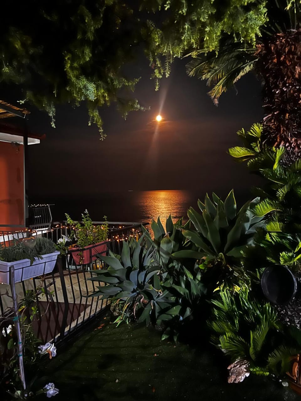 La FINESTRA sul MARE Apartment in Liguria