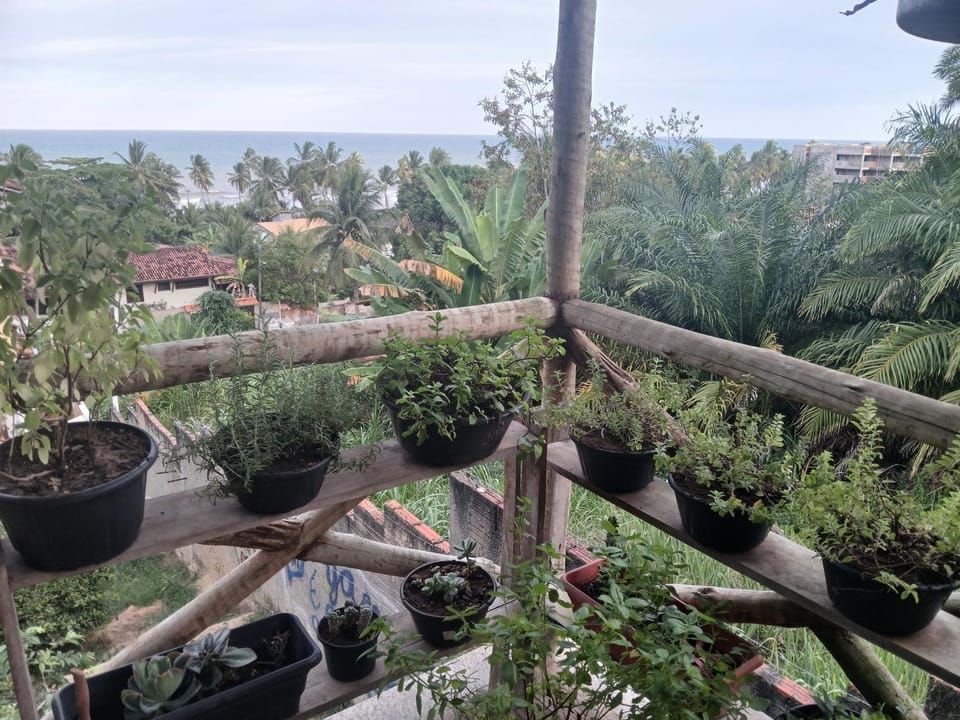 Garden view, Sea view