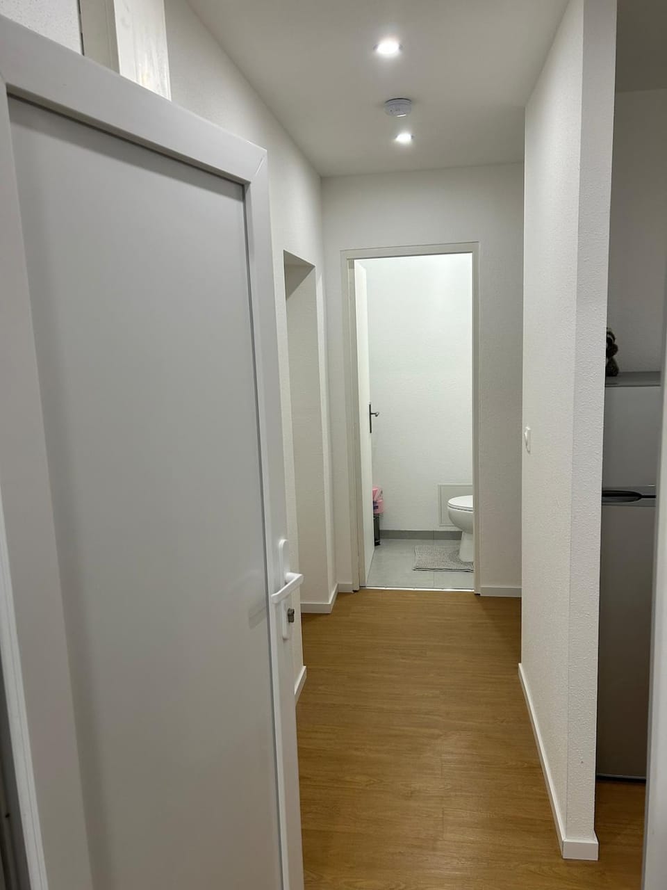 Renove Comfortable Appartement Mulhouse Apartment in Mulhouse