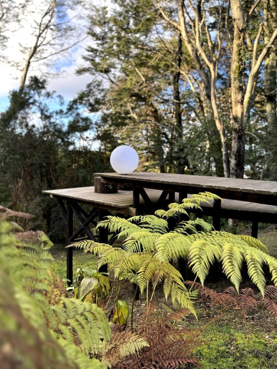 Natural landscape, Garden, Garden