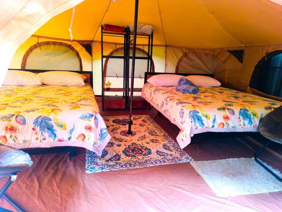 Monstera Forest Lodge Nature lodge in Alajuela Province