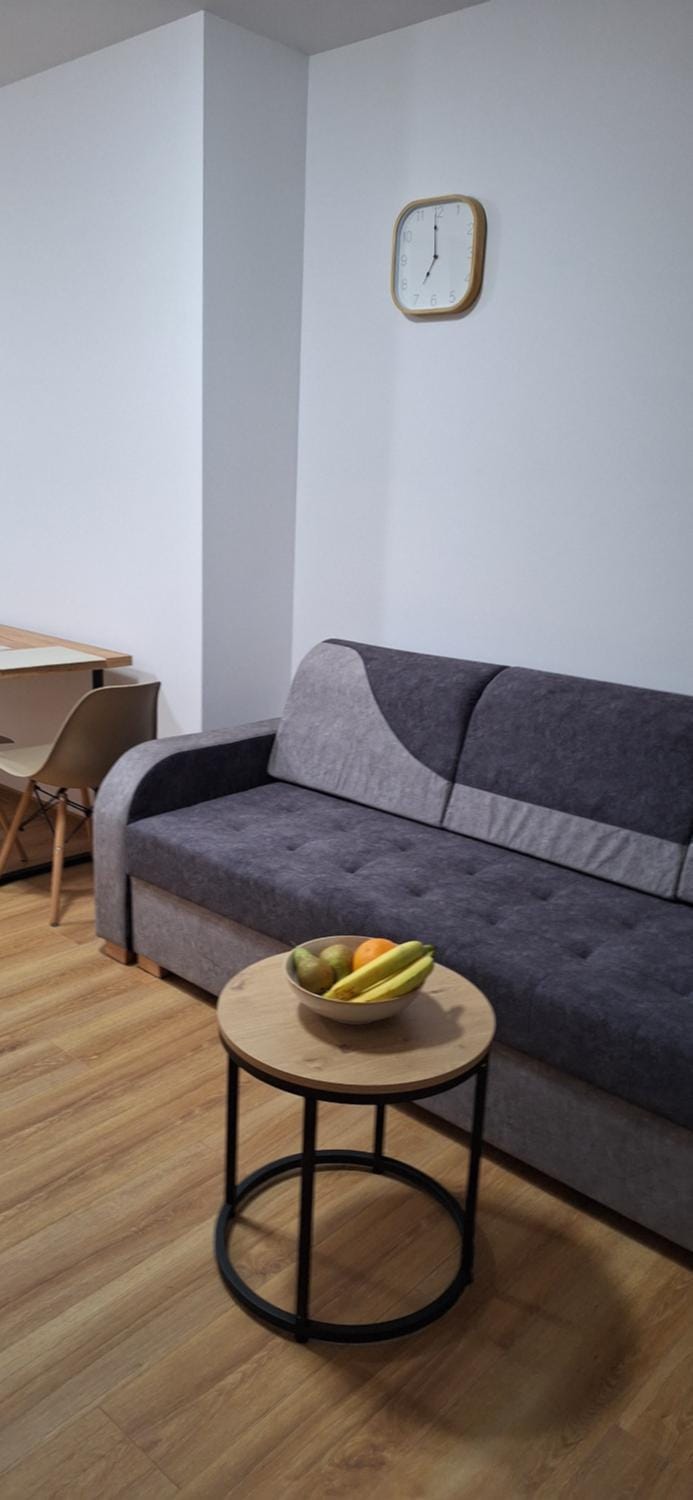 Apartament Sobieskiego nr 3, bezpłatny parking Apartment in Poland