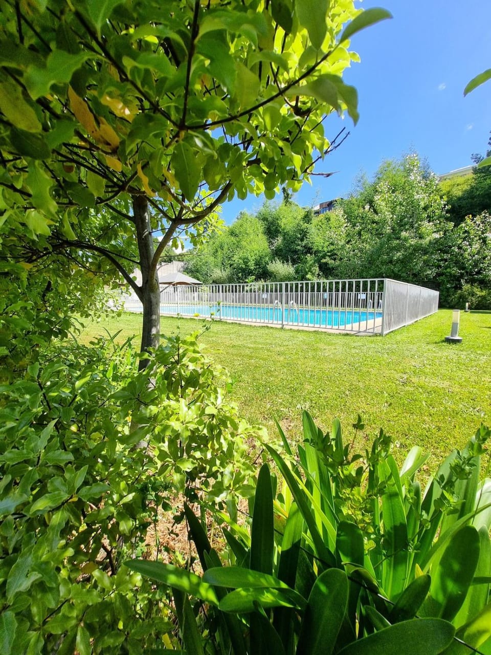 Natural landscape, Garden, Pool view, Swimming pool