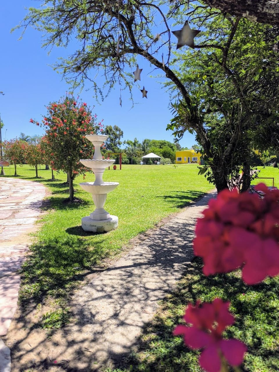Natural landscape, Garden