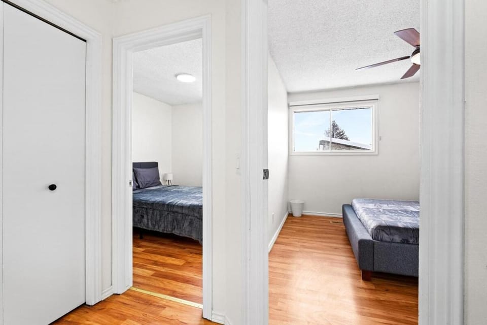 Bed, Photo of the whole room, Bedroom, wardrobe