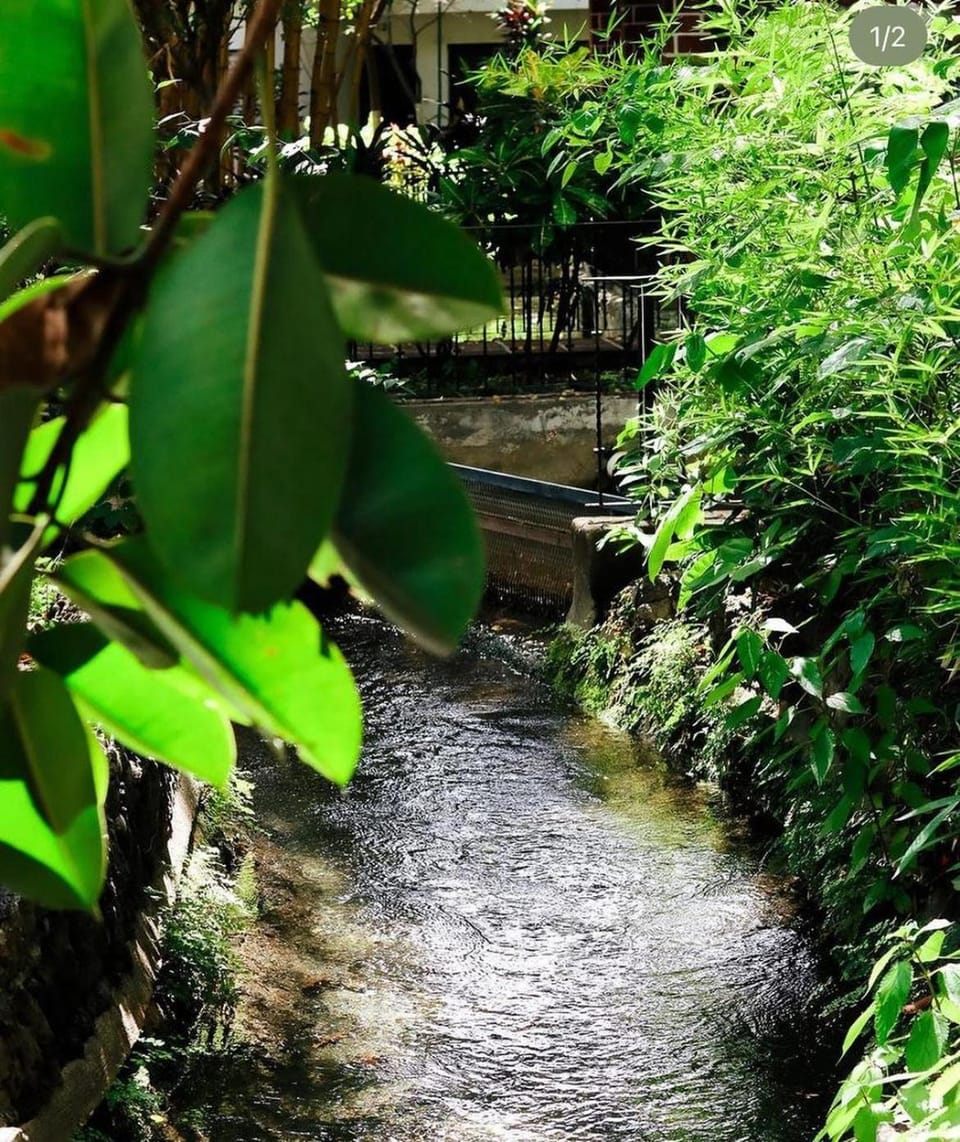 Hotel Boutique Canto Del Agua Hotel in State of Morelos